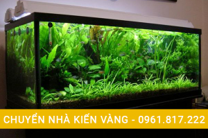 Những thứ khiến bạn lo lắng khi lưa chọn dịch vụ chuyển nhà trọn gói