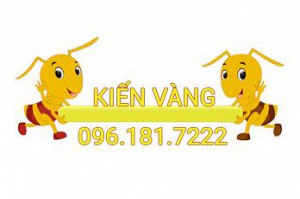 Chuyển nhà an toàn với chi phí thấp mùa Dịch bệnh Covid 19 (Corona)